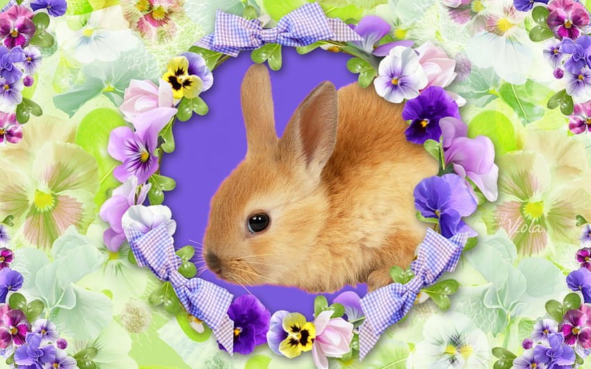 Bunny and Pansies, design, art, bows, spring, bunny, pansies, violet, green, easter, Viola Tricolor, rabbit HD wallpaper