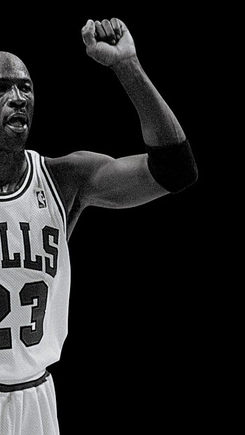 Michael Jordan, jordan, goat, bulls, HD phone wallpaper