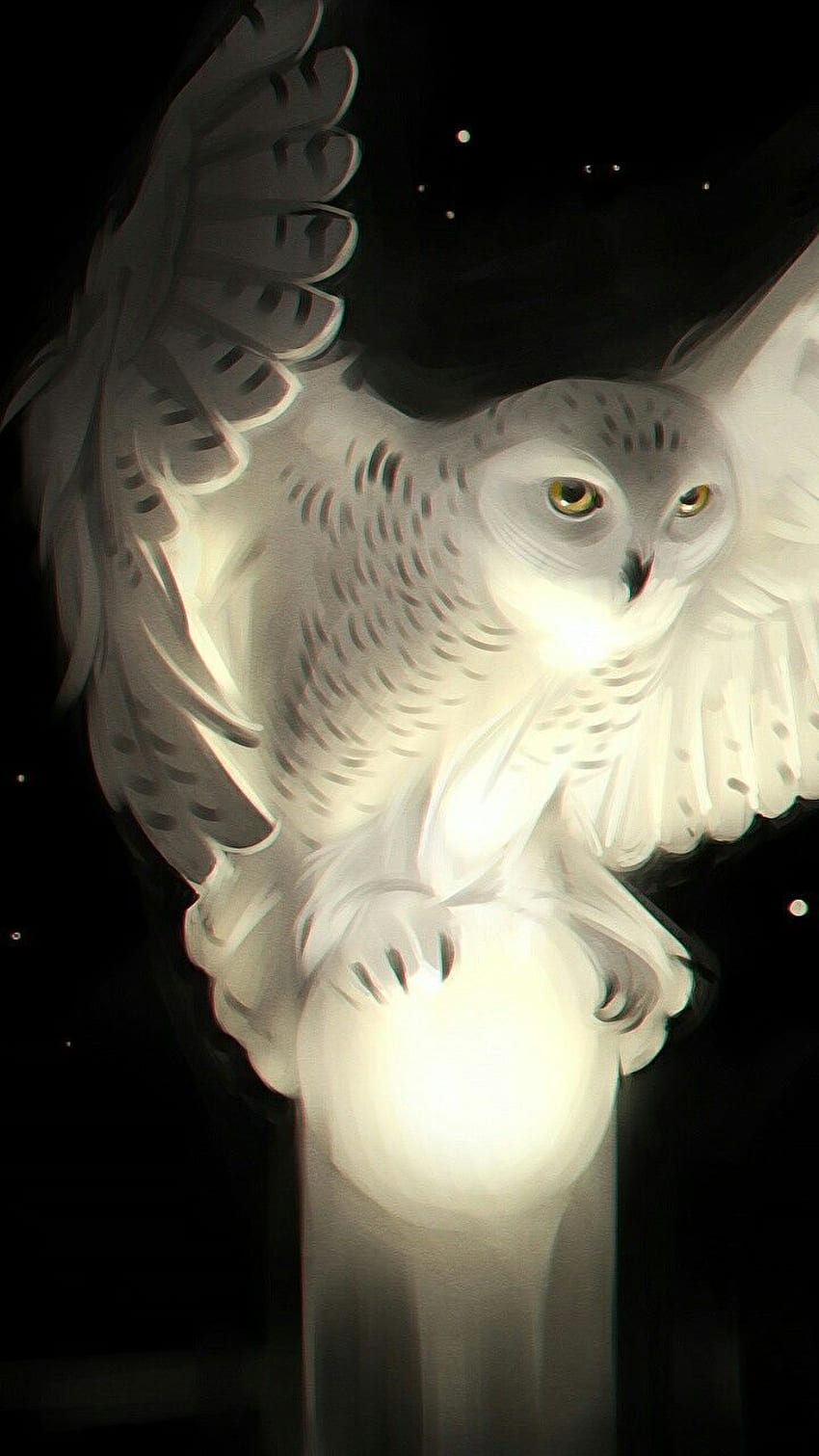 mystical snowy owl. tattoos. Owl , Owl art, Owl, White Owl HD phone wallpaper