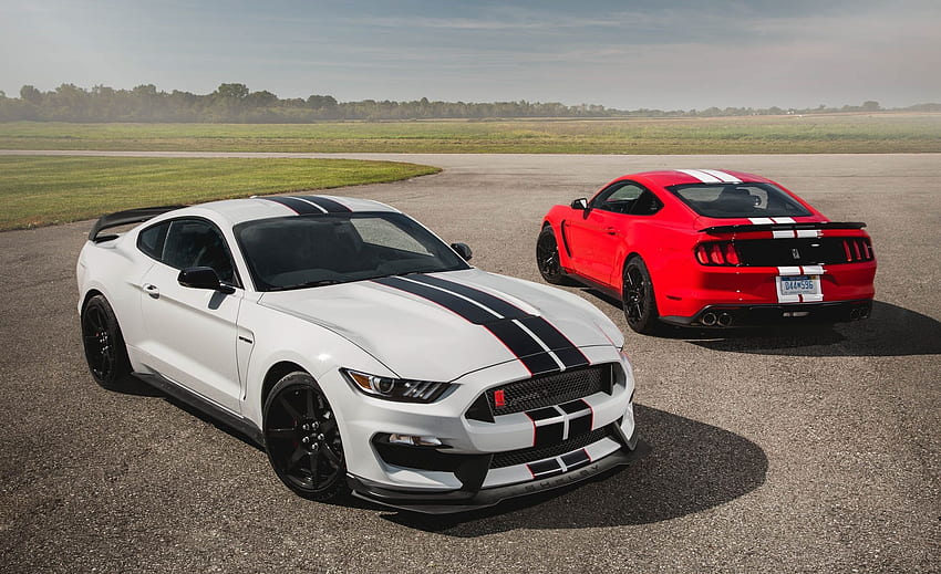 Ford Mustang Shelby Gt350 - 2016 Gt350 Shelby Mustang - & Background HD ...