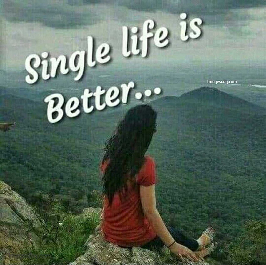 Single . Single Life is Best Life HD wallpaper