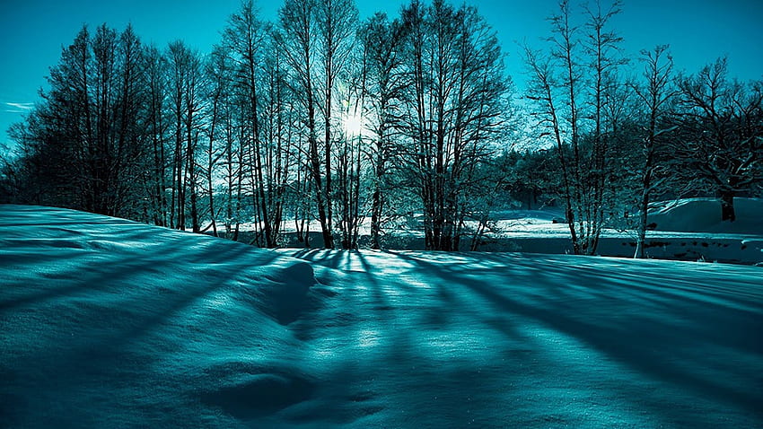 Fantástico paisaje invernal, paisaje nevado fondo de pantalla
