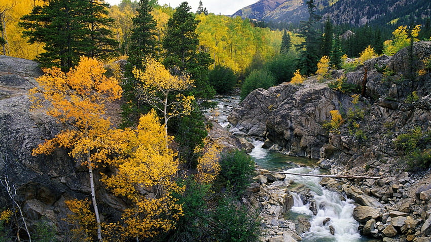 Roaring Fork River、White River National Forest、コロラド州、川、山、岩、黄色、木、秋、自然、コロラド州、空、水、森 高画質の壁紙