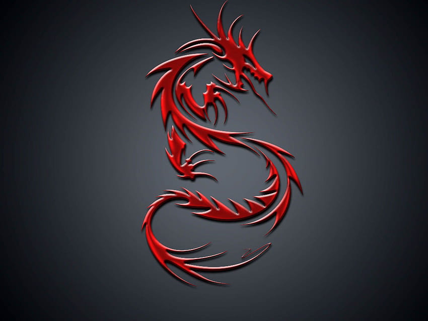 Drache (Nicht MSI). MSI Dragon Gaming-Logos HD-Hintergrundbild