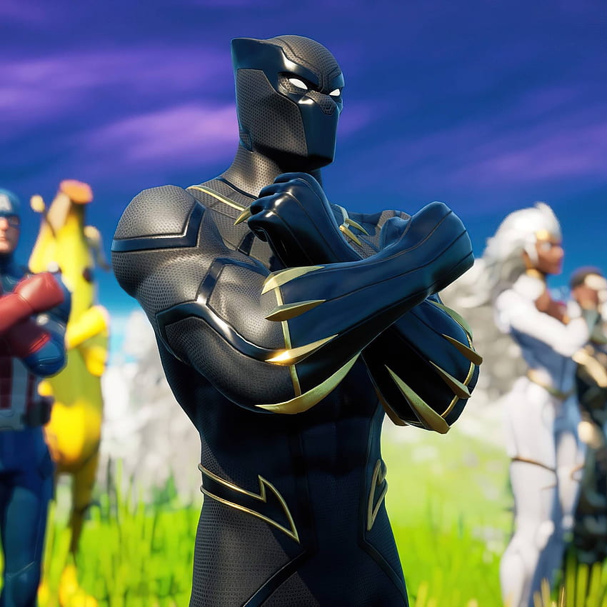 Black Panther Fortnite Wakanda Forever iPad Air , Games , , and Background HD phone wallpaper