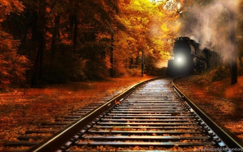 Nature Trains Railroad Tracks Railway Background, Train Track HD wallpaper