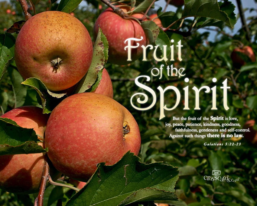 Fruit Of The Spirit, bible, fruit, galatians, spirit HD wallpaper
