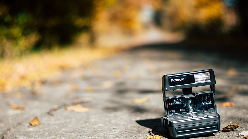 Polaroid Camera, Blurry, graphy, Leaves, 2048X1152 graphy HD wallpaper