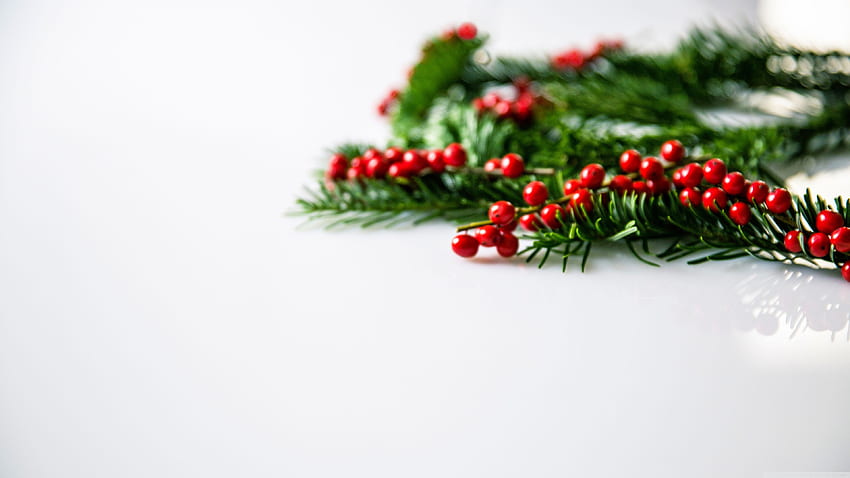 Christmas Holly Berries Background ❤ for, 16 9 Christmas HD wallpaper