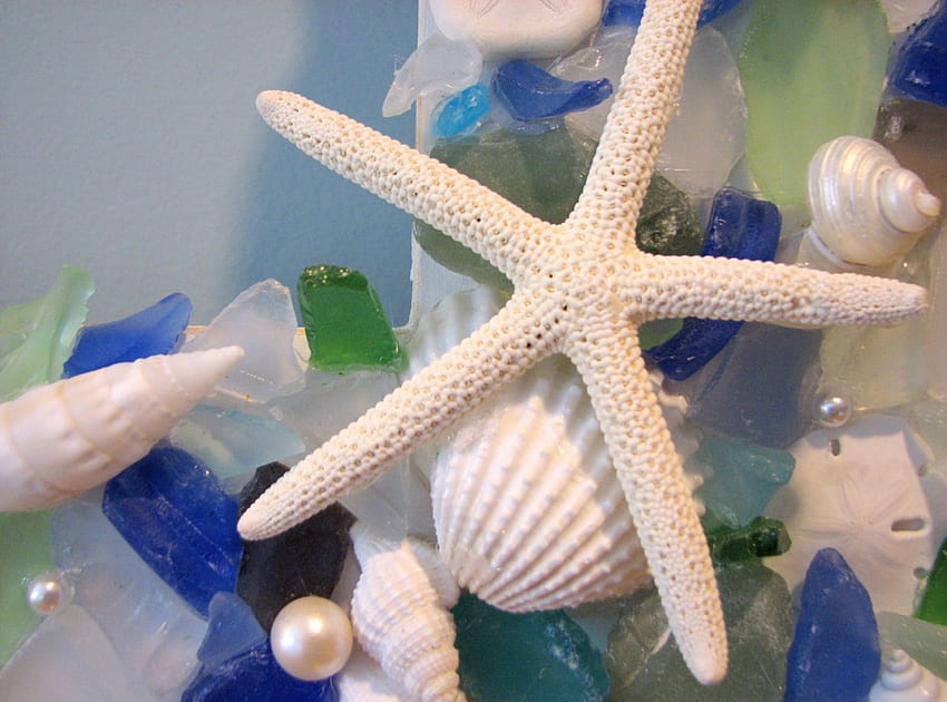 Coquilles d'étoiles de mer et verre de mer, coquillages, verre, mer, étoile de mer Fond d'écran HD