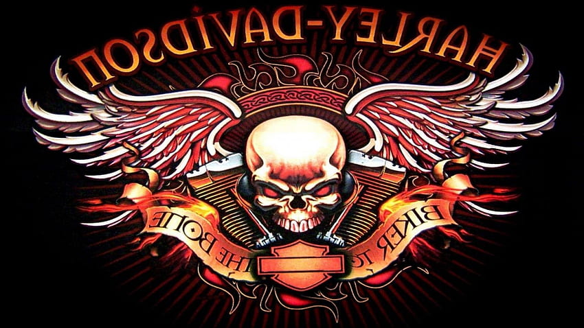 Red Devil Skull Vector In X Harley Davidson Skull Wings, Skull with Wings HD wallpaper