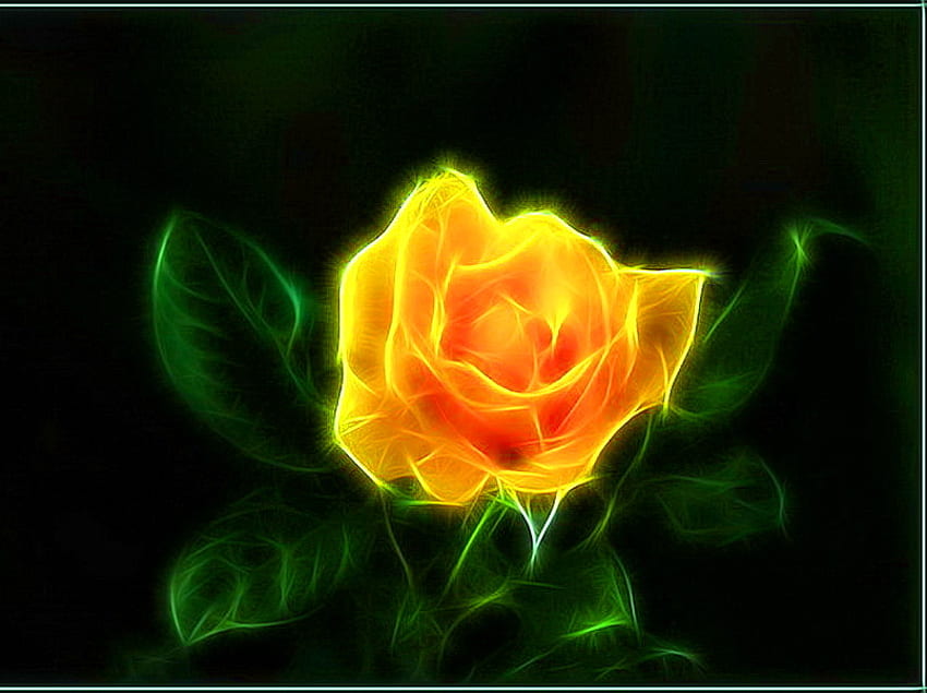 Bloom for Dianna, rose, noir, feuilles vertes, abstrait, jaune, fleur, or Fond d'écran HD