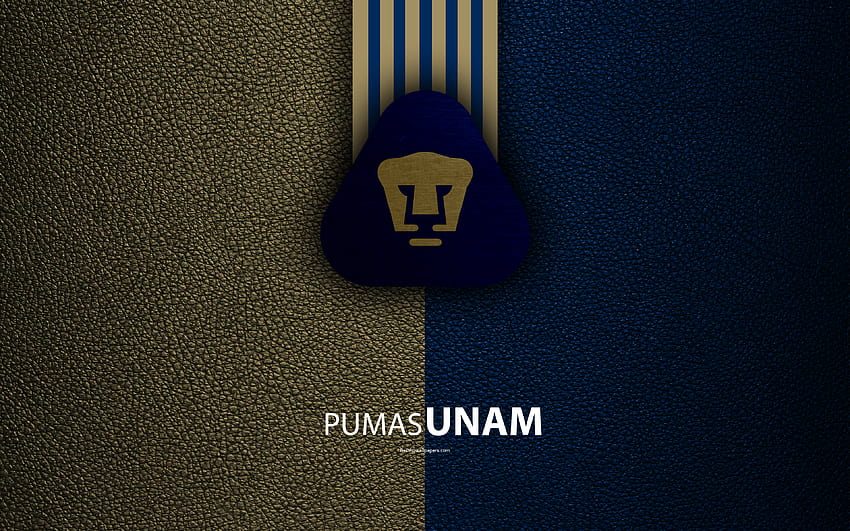 Club Universidad Nacional, Pumas UNAM, , texture cuir, logo, club de football mexicain, lignes bleues dorées, Liga MX, Primera Division, Mexico, Mexique, football avec résolution . Haute qualité Fond d'écran HD