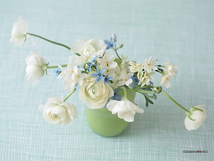 Little Miss Dainty, błękity, biele, miękkie, wazon, kwiaty, kolory, wiosna, świeże, pastale, delikatne, kroje, zielone, dziewczęce, kwiaty Tapeta HD