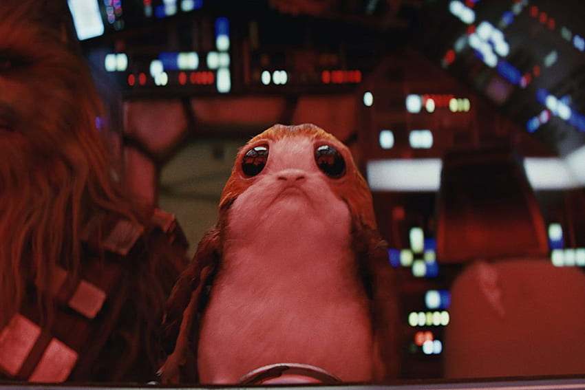 Star Wars' porgs and the power of “charismatic minifauna HD wallpaper