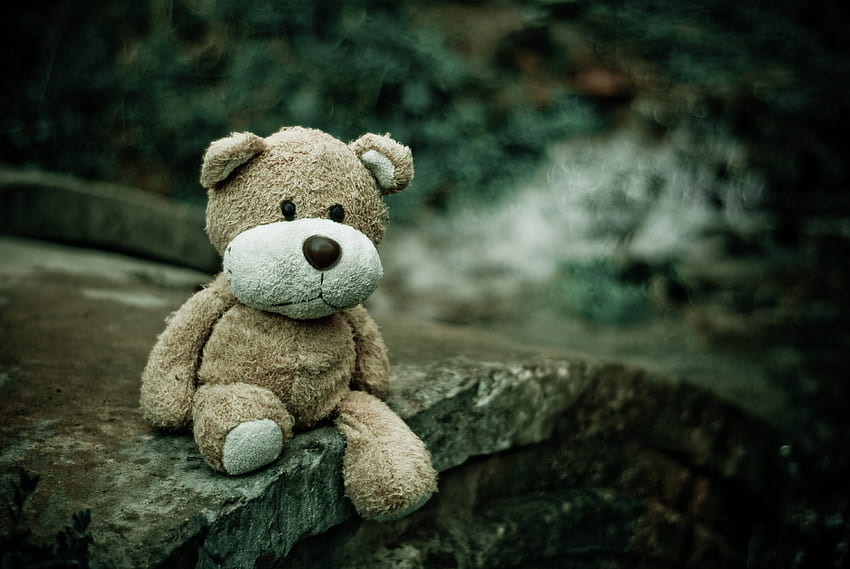 Teddy Bear, , , Bear, Soft Toy HD wallpaper