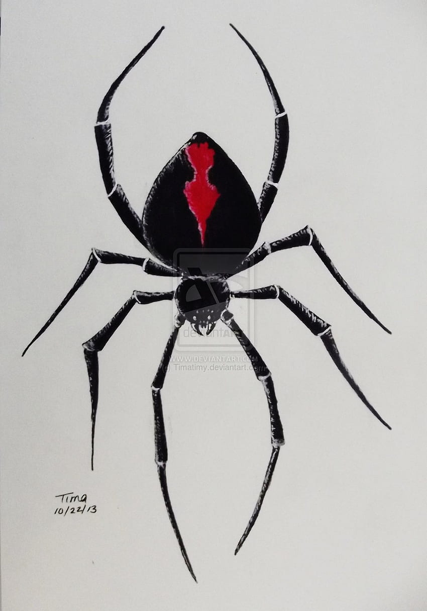 Cool 3D Black Widow Spider Tattoo For Men