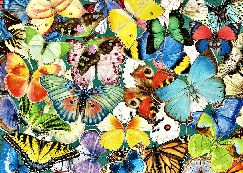 たくさんの蝶、アートワーク、蝶、ワイド スクリーン、野生動物、絵画、芸術、美しい 高画質の壁紙
