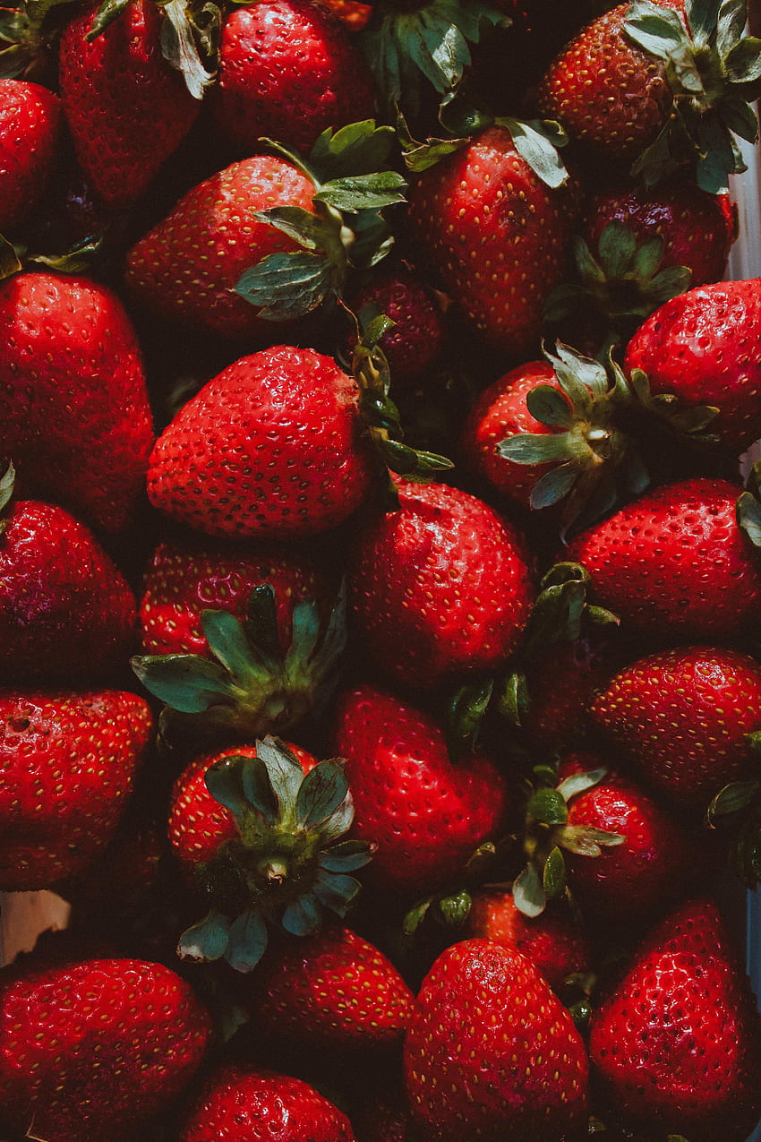 Fresa, frutos rojos, fresca fondo de pantalla del teléfono
