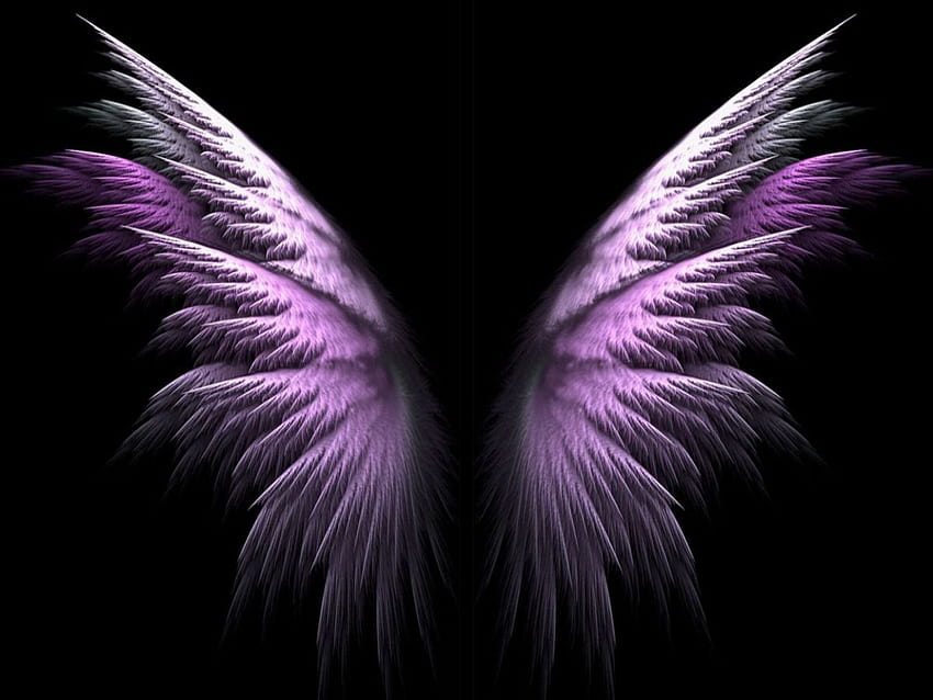 天使の翼、カラフルな翼 高画質の壁紙