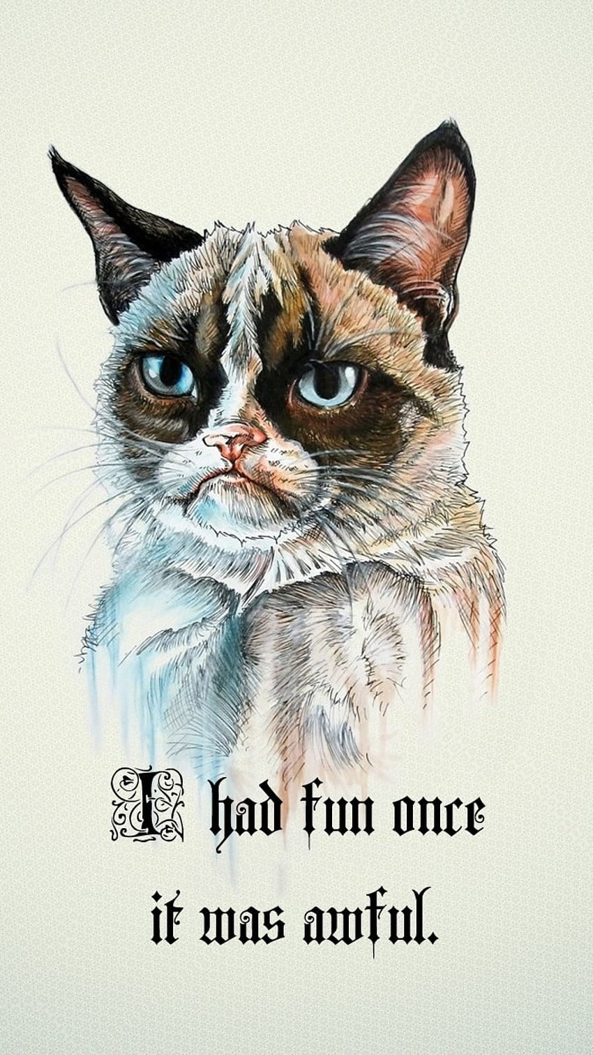 Meme Lucu, Kucing Pemarah wallpaper ponsel HD