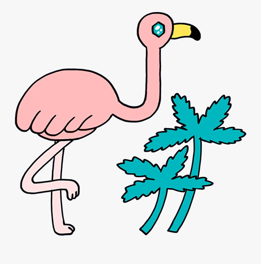 Flamingo HD-Handy-Hintergrundbild