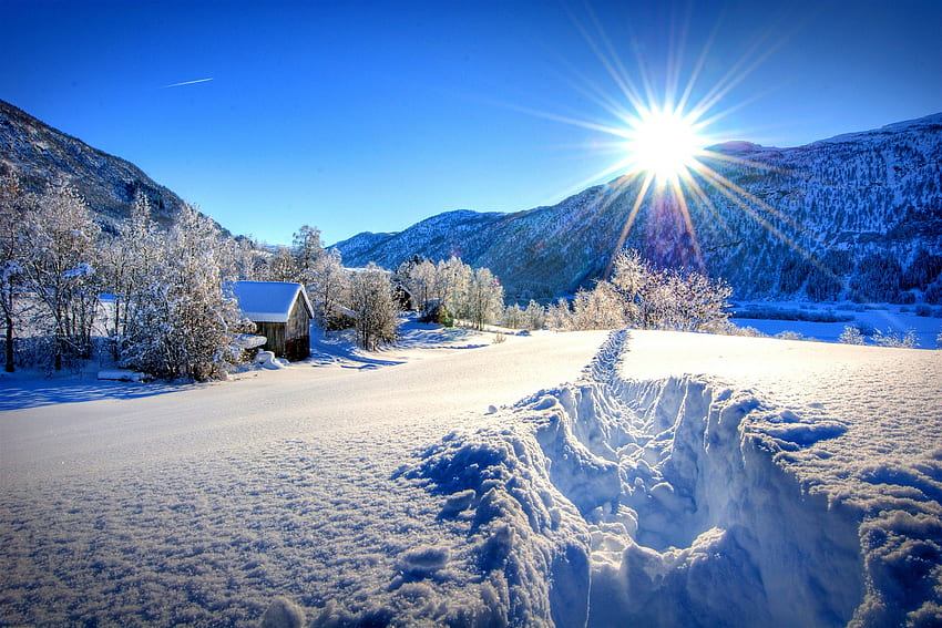 겨울, 자연, 산, 새벽, 숲 HD 월페이퍼