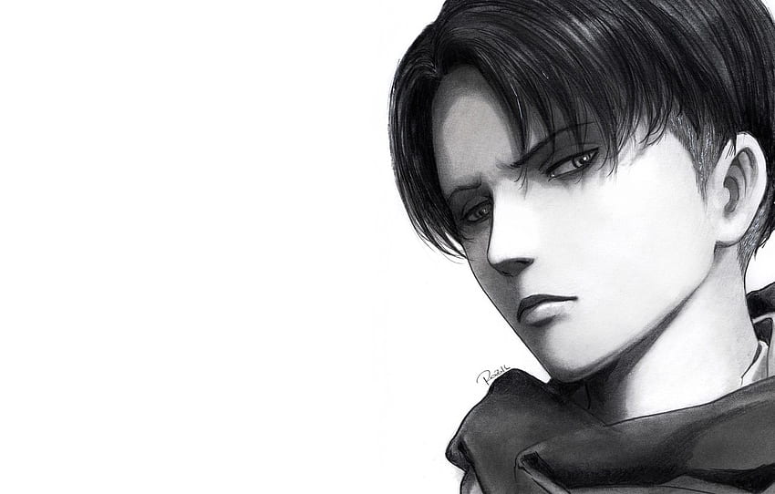 Look, Art, White Background, Guy, Attack - Background Attack On Titan Levi, Attack On Titan Black and White HD wallpaper