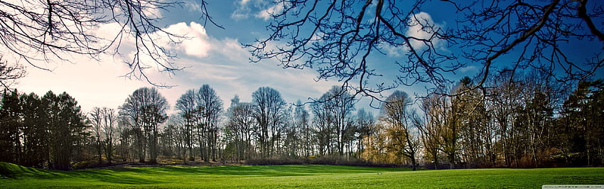 Beautiful Meadow, Spring ❤ for • Dual, Spring Dual Screen HD wallpaper
