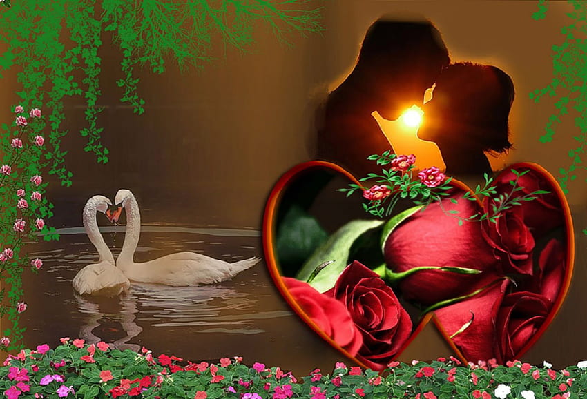 Двама влюбени, цветя, червени рози, сърце, лебеди, дърво HD тапет