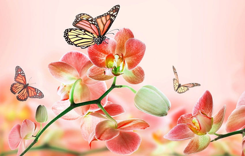 summer, butterfly, flowers, abstraction, background, pink, beauty, art, Orchid, 3D. for , section рендеринг, Beautiful Summer Butterfly HD wallpaper