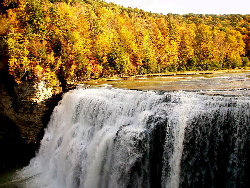 自然, 秋, 滝, 森 高画質の壁紙