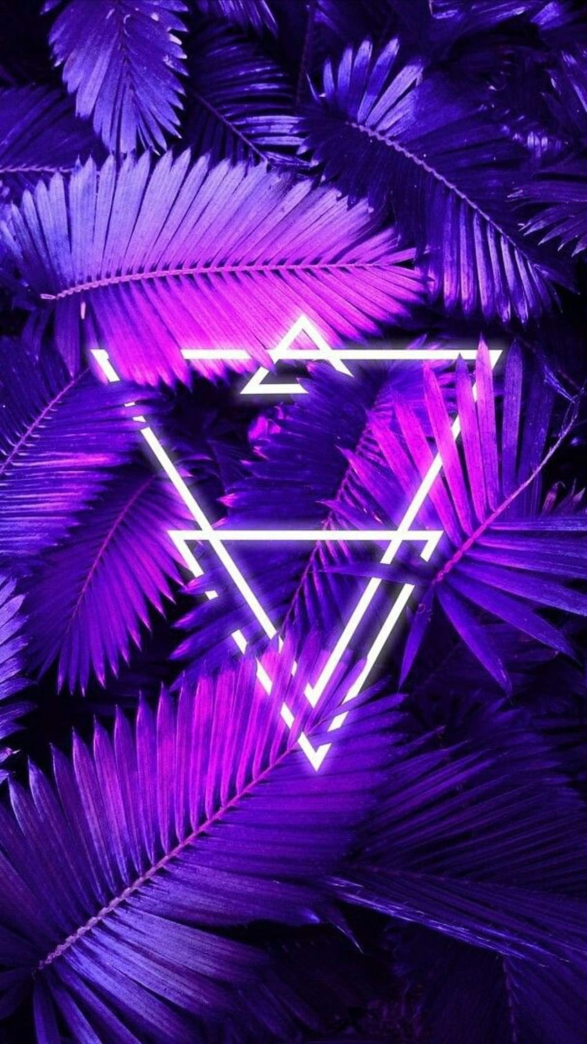 Neon - My Android Walls, Purple and Pink Neon HD phone wallpaper | Pxfuel