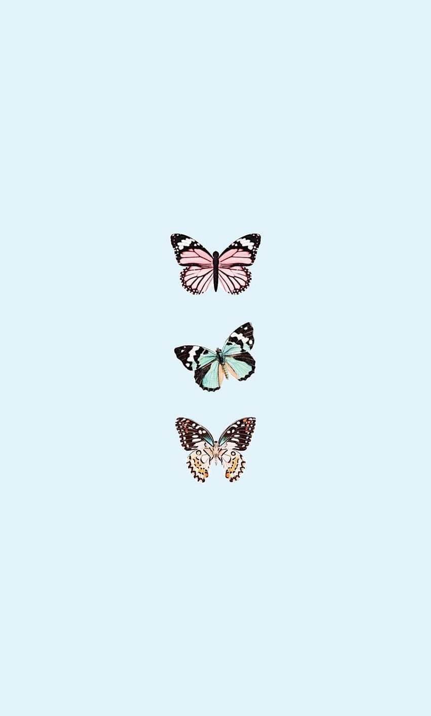 Aesthetic Butterfly, Cute Baby Butterfly HD phone wallpaper | Pxfuel