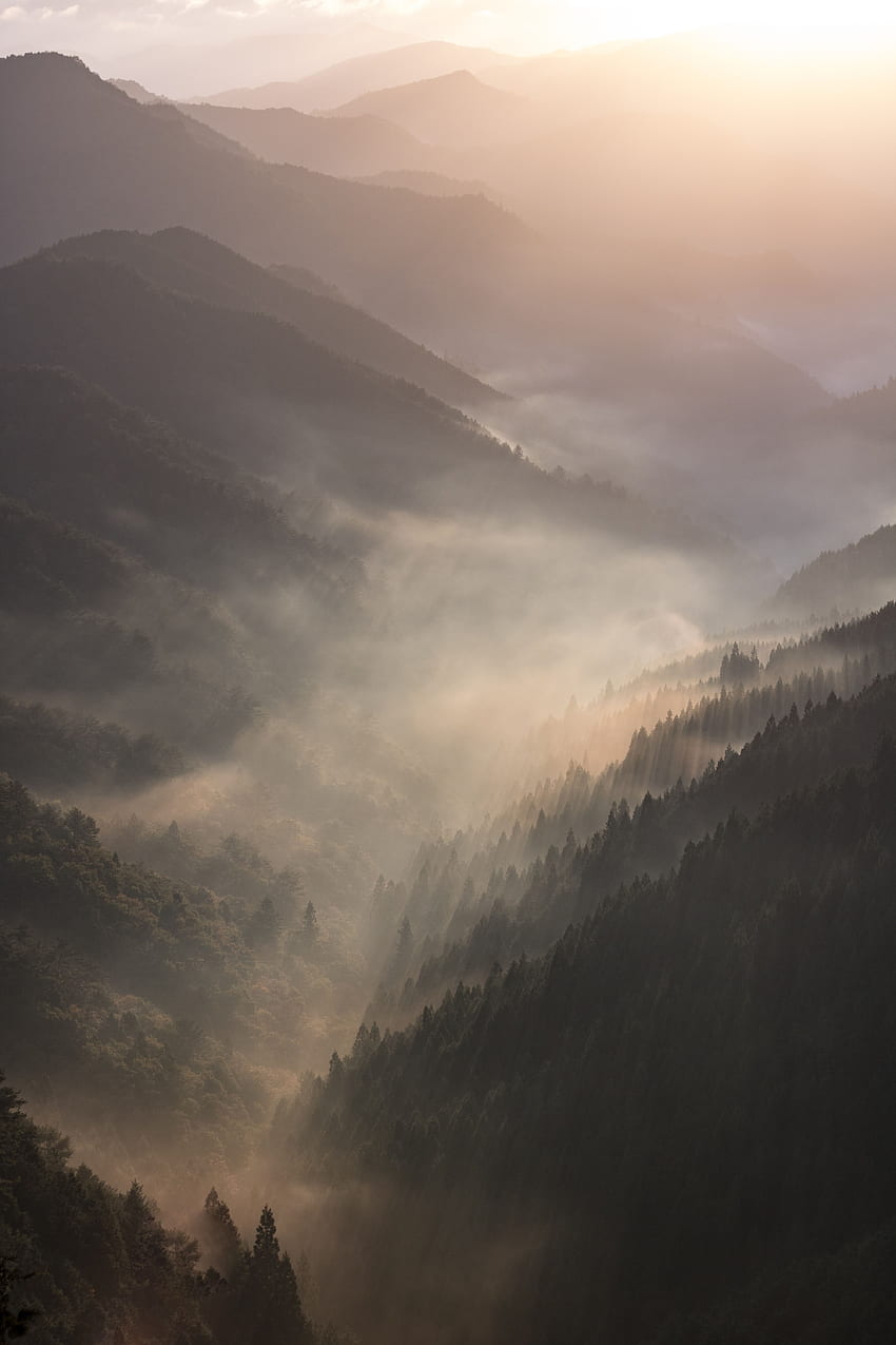 Landschaft, Natur, Berge, Morgendämmerung, Wald, Nebel HD-Handy-Hintergrundbild