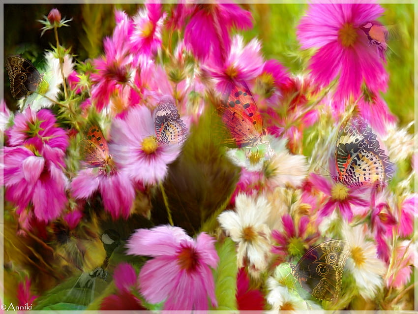 Pétalos revoloteando, alas, tallos, bonito, mariposas, rosa, hojas, pétalos, flores, mariposas fondo de pantalla