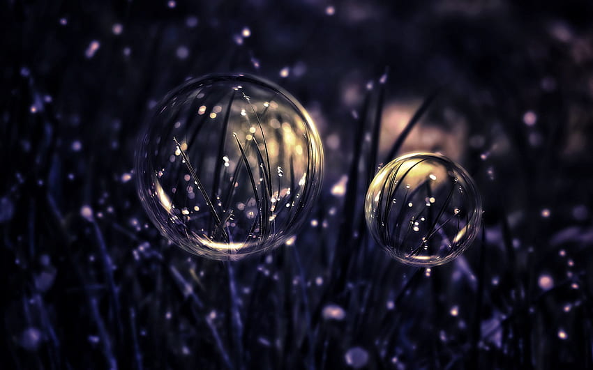 Gras, Blasen, Tropfen, dunkel HD-Hintergrundbild