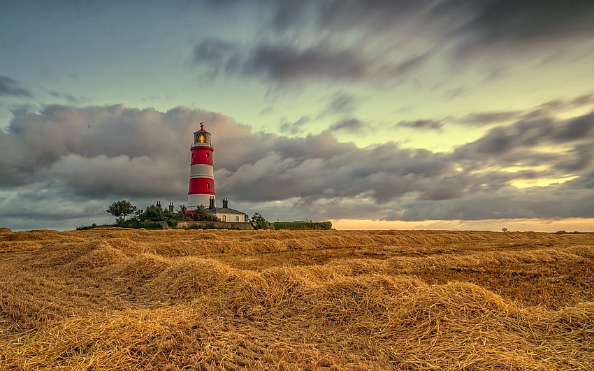 Happisburgh Harvest Time, sea, England, harvest, lighthouse, clouds HD wallpaper