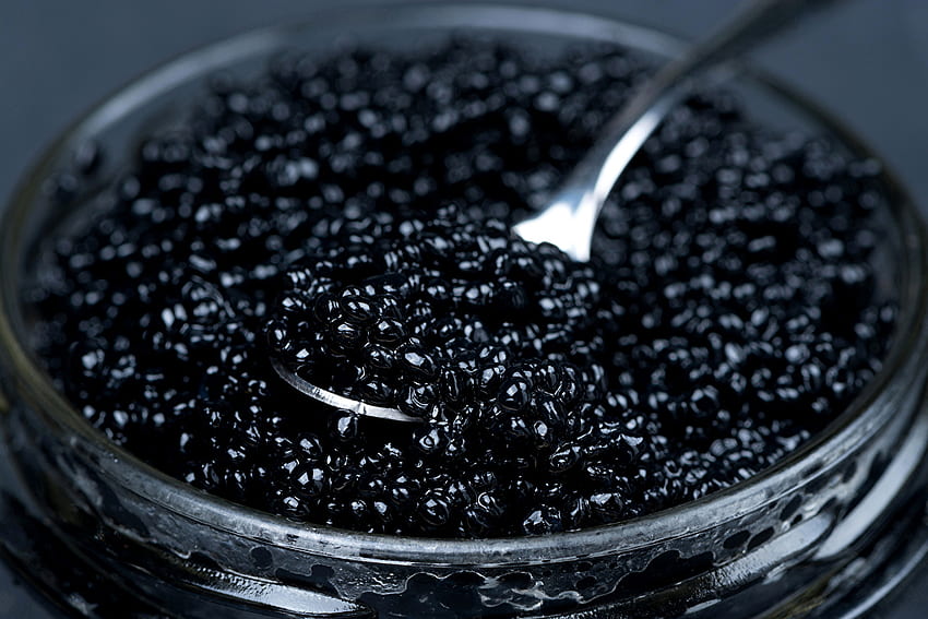 Black Caviar Food Closeup HD wallpaper