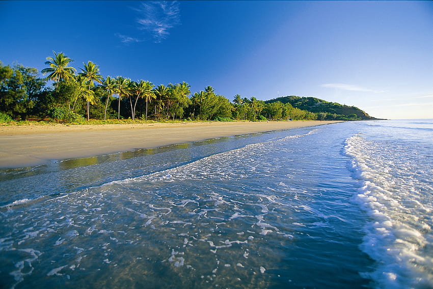 morze, przyroda, plaża, piasek, palmy, piana, tropiki Tapeta HD