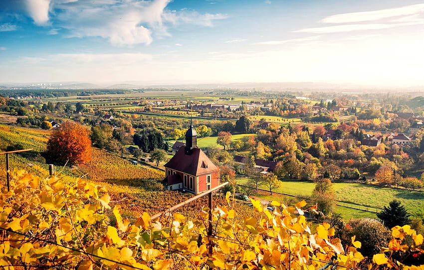 秋、空、葉、雲、木、風景、自然、街、家、黄色、ドイツ、ドレスデン、パノラマ、ドイツ、ドレスデン、ドイツのセクション 高画質の壁紙