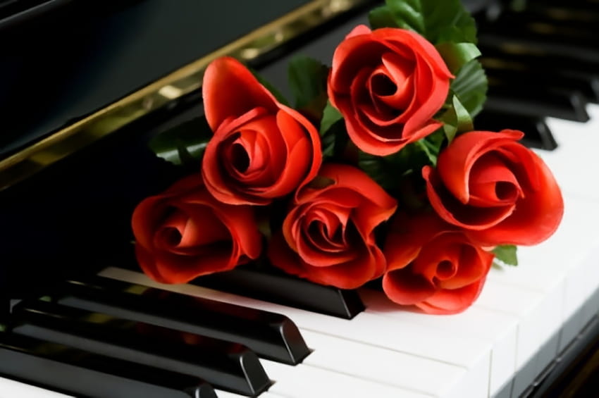 Рози на пиано, цветя, пиано, рози, графика HD тапет