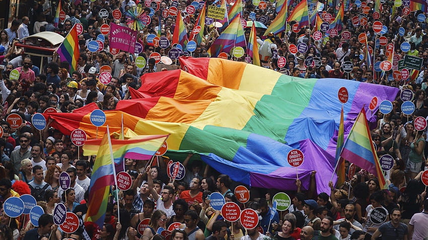 GAY QUOTA, Quota Gay Rainbow Flag HD wallpaper