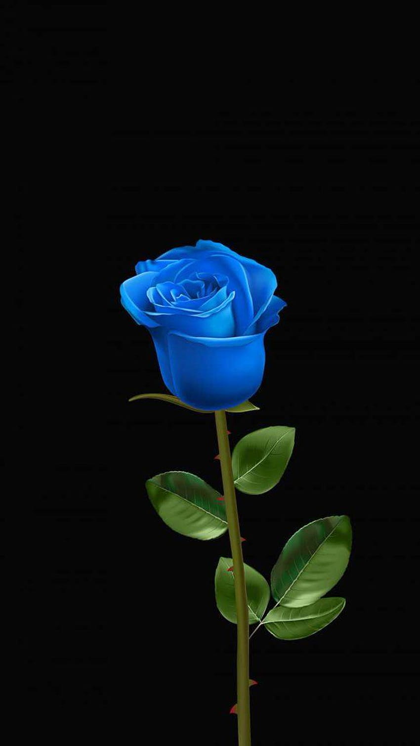 Beautiful Blue Rose, Black Blue Rose HD phone wallpaper | Pxfuel