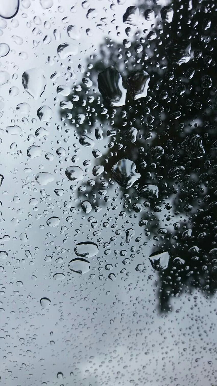 Love rainy day.always. Rain , Rain graphy, Rainy mood, Calming ...