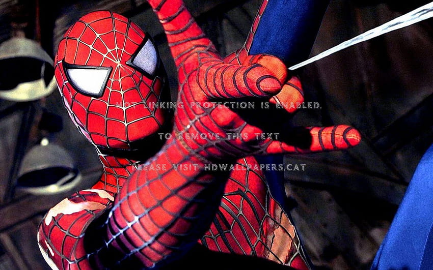 Spider Man Spiderman Héroe web rojo y azul, Spider Man Blue fondo de pantalla