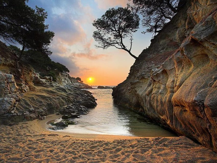 รอยเท้าบนผืนทราย ต้นไม้ หิน พระอาทิตย์ตก มหาสมุทร ชายหาด วอลล์เปเปอร์ HD