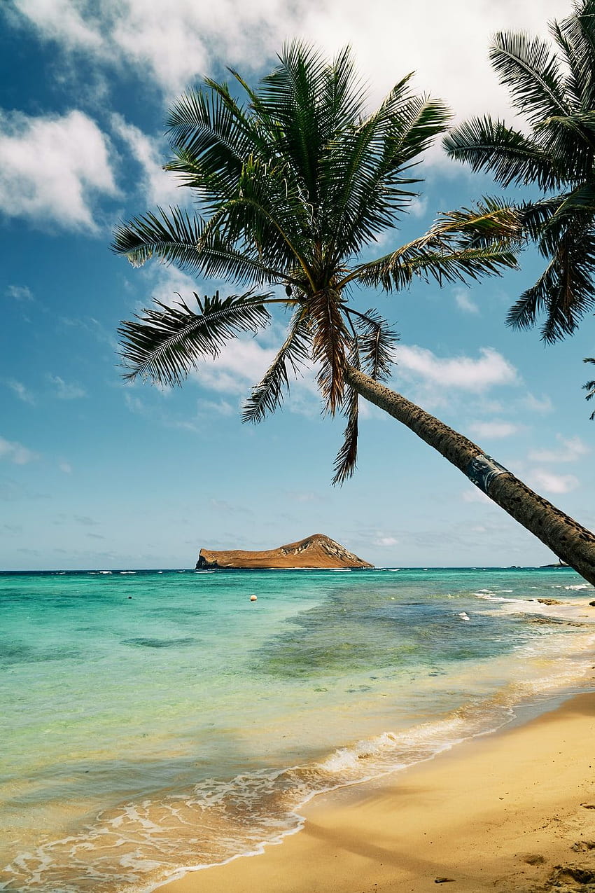 Download Hawaii wallpapers for mobile phone free Hawaii HD pictures