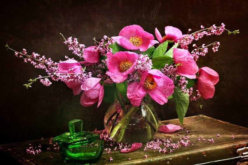 Still Life, kelopak, dengan cinta, alam, bunga, bunga merah muda Wallpaper HD