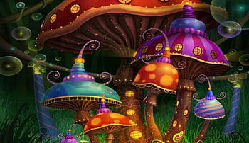 Mushroom HD wallpapers | Pxfuel